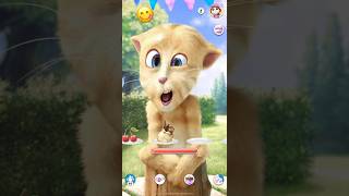 #catfun #short #subscribenow#shorts #funnyshorts