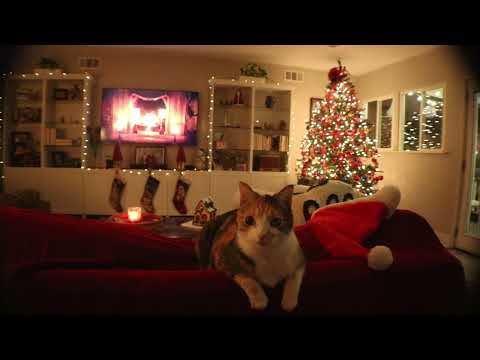 Cozy Cat Enjoying Christmas Ambience