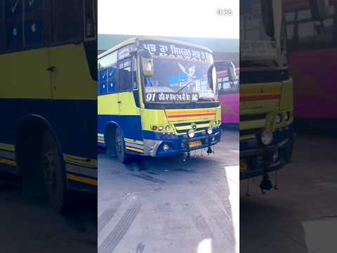 dabwali transport bathinda 🥀🥀 Bathinda to jalandhar 🥀🥀 amazing bus shorts 🥀🥀 buses of bathinda 🥀🥀