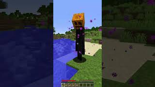 Friendly Enderman vs Pumpkin Feature #shorts #minecraft #meme