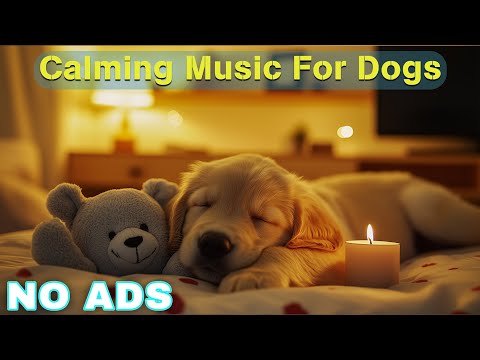 12 Hours of Healing Dog Music 🐶 Soothing Music for Deep Relaxation 🐕 Anti - Anxiety Videos No Ads