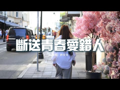 許文文 - 斷送青春愛錯人『你曾是我 斷送青春 卻愛錯的人，如今你 卻和她同床共枕，你的承諾 在我身上 未兌現半分，憑什麼 你卻許了她終身。』【動態歌詞MV】