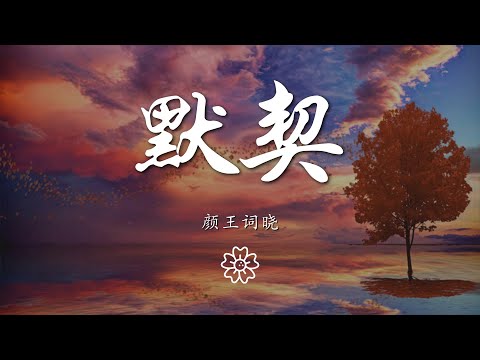 顏王詞曉 - 默契（翻自 康天庥）『由始至終 只有你一位』【動態歌詞Lyrics】