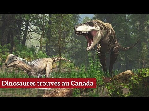 Dinosaures trouvés au Canada