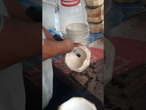 KINAYOD NA SARIWANG LAMAN NG BUKO pH street food #satisfying #streetfood #youtubeshorts #Gatchie Jr