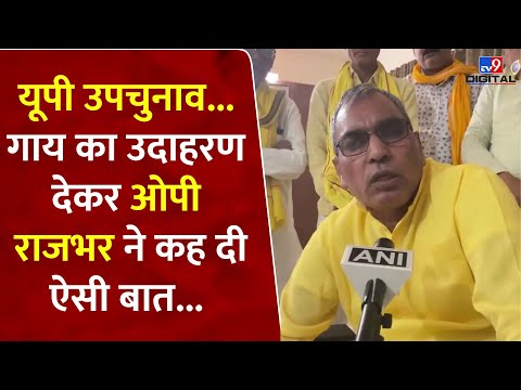 UP By Election: यूपी उपचुनाव... गाय का उदाहरण देकर OP Rajbhar ने कह दी ऐसी बात... | UP News | #tv9d