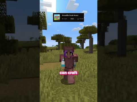 Armadillo are USEFUL in Minecraft