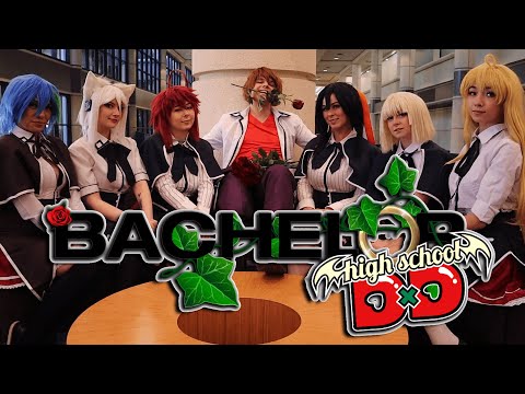 The Bachelor DxD ||  Valentine's Day Highschool DxD Cosplay Special