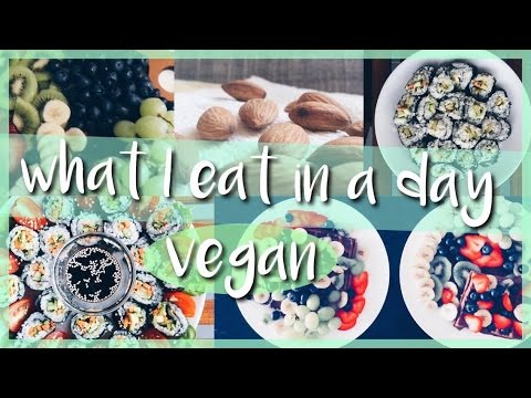 Vegan What I Eat in a Day 2 | Vlog