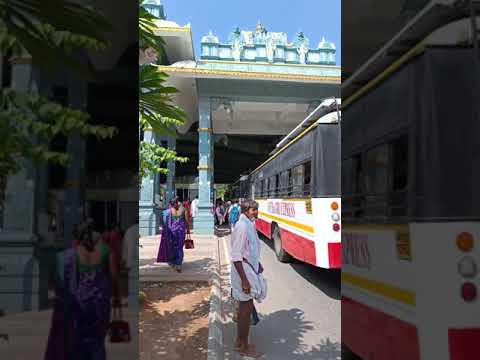 Tirupati Balaji Darshan | Series 2 #minivlog #shortvlog 3