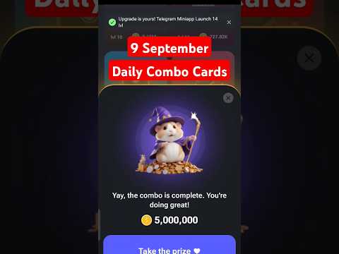 Today 9 Sept Daily Combo Card | Hamster Kombat Daily Cipher Code | hamster Combo Today 9 September