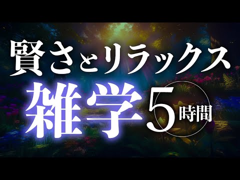 【睡眠導入】賢さとリラックス雑学5時間【合成音声】