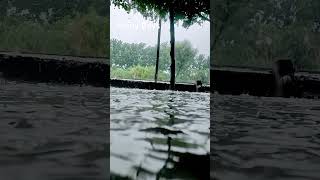 #rain #nature #slowmotiomshorts