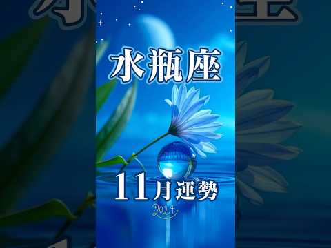 水瓶座♒️11月運勢✨2024