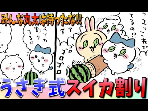 【ちいかわ】謎スイカの正体が明らかに…！丸太を持ってうさぎ式スイカ割り！！【最新話考察】