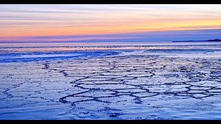 💙 Relax with the Extraordinary Beauty of the Danish Winter Sea in 4K with Atmospheric Music!