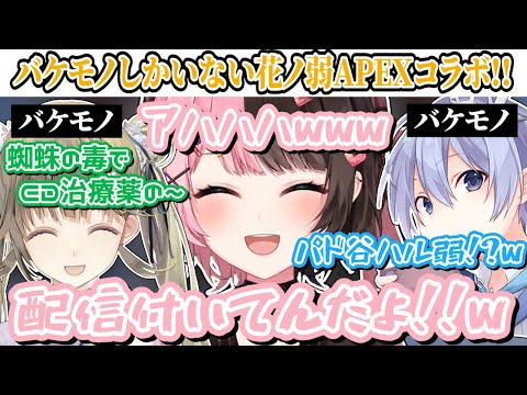 【ここ好きまとめ】バケモノしかいない花ノ弱APEXコラボ~渋ハルカスタム~【橘ひなの/英リサ/白雪レイド/ぶいすぽ/ネオポルテ/切り抜き】