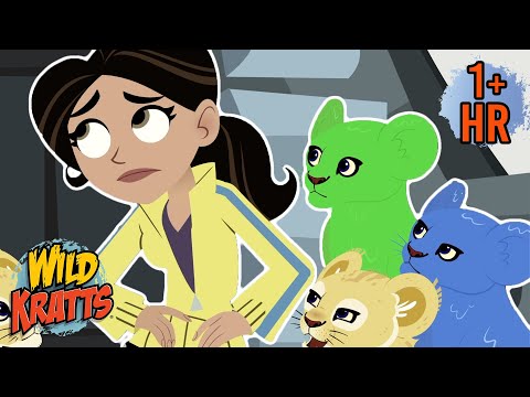 Every Creature Rescue Season 2 | Protecting The Earth's Wildlife | New Compilation | Wild Kratts