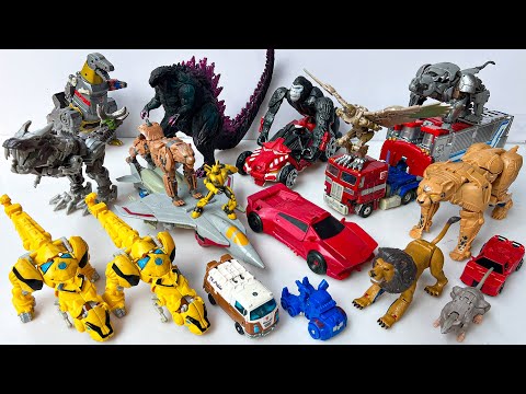 Full Transformers LEGACY: Kingdom Beast Wars Maximals Assemble - Stopmotion OPTIMUS PRIME & MEGATRON