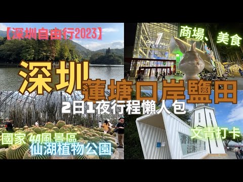 【深圳自由行】深圳蓮塘口岸 鹽田食、玩、住、嘆 2日1夜行程攻略｜仙湖植物公園｜壹海城 ONEMALL｜百合里潮汕牛肉火鍋｜老阿婆牛腩牛雜煲｜燈塔圖書館｜文青打咭