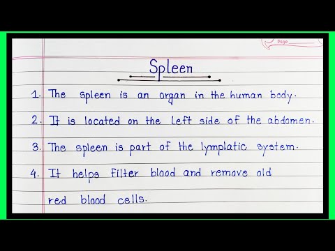 10 Lines Essay On Spleen In English | Easy And Simple Sentences About Spleen | Essay On Spleen