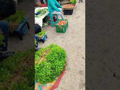 Leafy vegetables 🥬, ఆకు కూరలు,  Karimnagar vegetable market