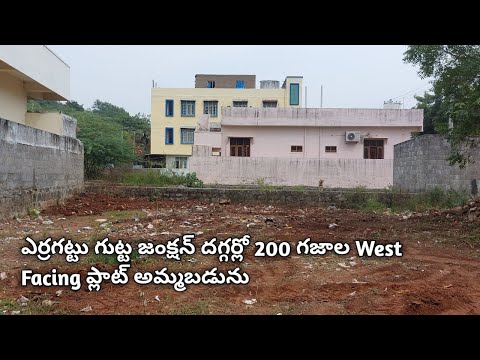 Plat for sale  // ప్లాట్ అమ్మబడును // Erragattugutta  // Hanamkonda