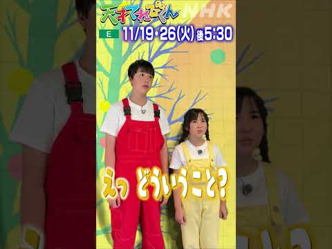 [天てれ] わくわく島留学 in 佐渡島 けえ×ハフォード・ポン【天才てれびくん】| NHK | #shorts