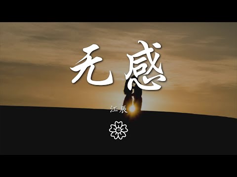 江辰 - 無感『怪我總是讓你生氣讓你煩』【動態歌詞Lyrics】