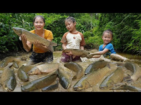 How to catch giant fish in mud pond - cooking fish favorite dish