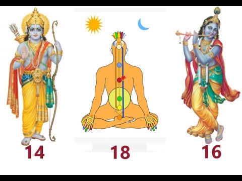 Kundalini - Sun Path - Moon Path - Centre Path in Human Body  Explanation by Seshapaavan Swamiji