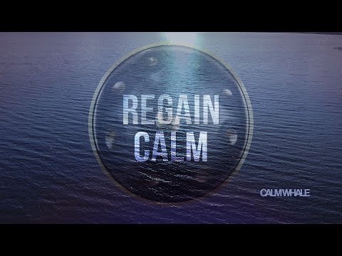 Didgeridoo & Handpan Grounding Meditation - Regain CALM - Let GO of Overthinking | Calm Whale