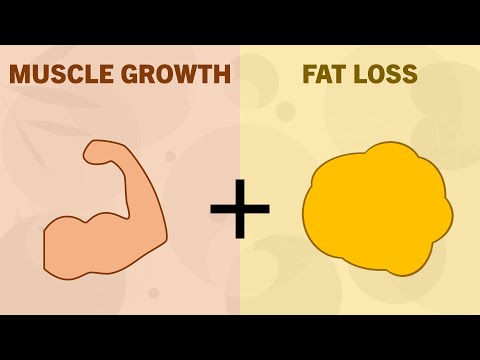 Can You Build Muscle & Lose Fat at the Same Time?