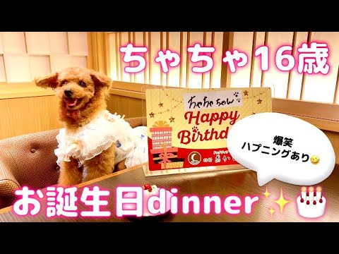 【特別編✨ちゃちゃチャンネル💕🐶】16歳お誕生日旅行🎂おもしろハプニング連発😂