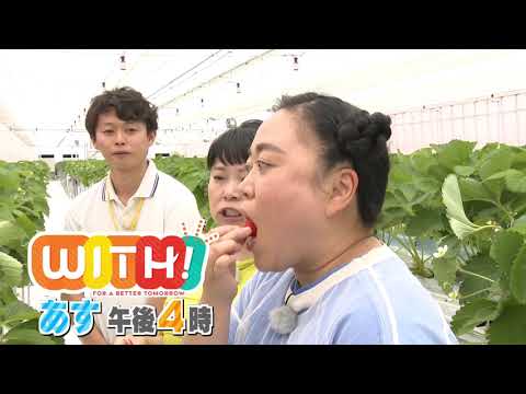 新名所でニッチェ満腹の街ぶら旅【WITH！】