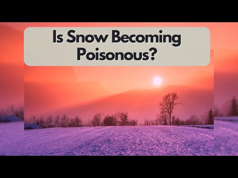 Is Snow Becoming Poisonous?