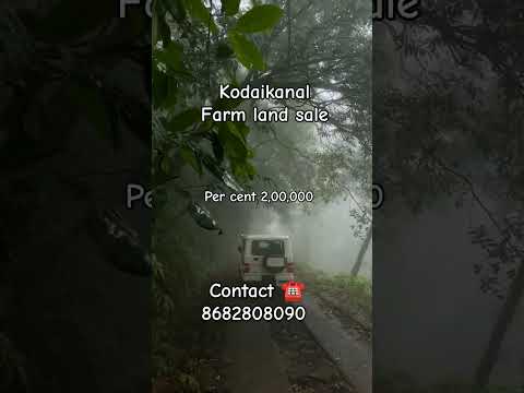 Kodaikanal farm land sale #kodaikanal #lowbudget #farmland #nature #tredingshorts #hills #viral