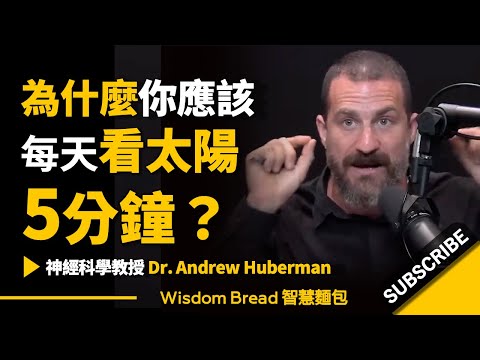 為什麼你應該每天看太陽5分鐘？► 神經科學教授 Dr Andrew Huberman 安德魯．休伯曼博士（中英字幕）