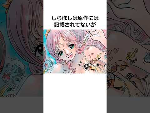 しらほしに関する雑学【ワンピース】#shorts #onepiece #雑学