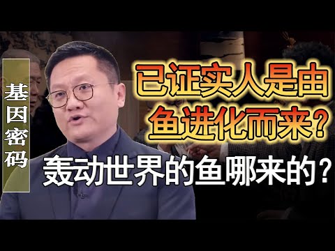 中國已證實人是由魚進化而來？轟動全世界的魚是哪來的？生物界的理論全部刷新？#竇文濤 #圓桌派 #人生感悟