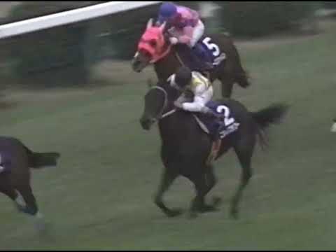 ヤマニンゼファー 1993年 第27回スプリンターズステークス(GI) (優勝馬：サクラバクシンオー)(実況：ラジオたんぱ)