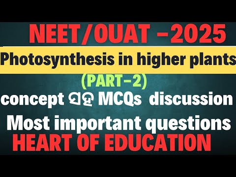 PHOTOSYNTHESIS MCQ DISCUSSION PART-2 ✅MOST IMPORTANT 🔥 MCQ ANALYSIS