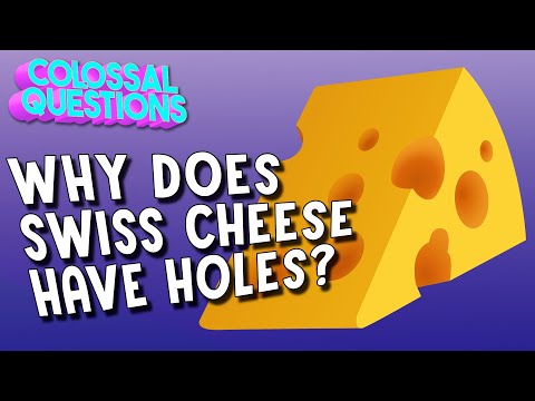 Why Does Swiss Cheese Have Holes? | COLOSSAL QUESTIONS