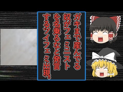 【ゆっくり動画解説】「ねる」という名のツイフェミアカウントが、「ガキまで産んでる奴がフェミニストを名乗るな！」と子持ちツイフェミも真っ青なトンデモ発言をするなどの発言集