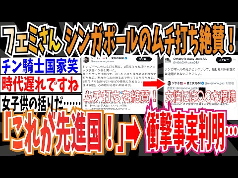 【ツイフェミ】フェミさん、シンガポールのむち打ち刑を絶賛！「これが先進国だよね！」➡︎衝撃事実判明・・・【ゆっくり 時事ネタ ニュース】