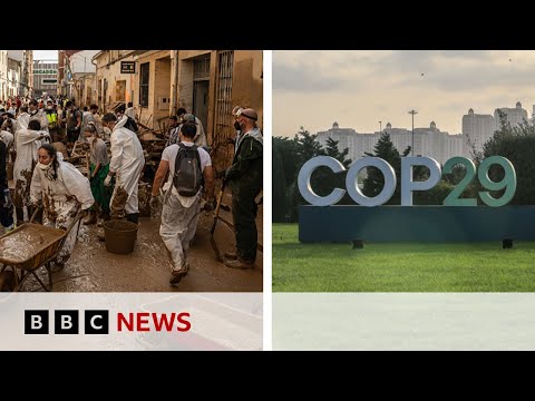 UN climate talks 'no longer fit for purpose' say key experts | BBC News