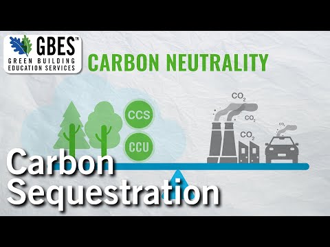 Carbon Sequestration - Education Clips GBES