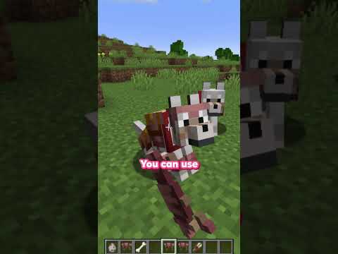 You NEED This Minecraft Wolf Armour