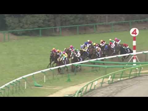 ラインクラフト 2006年 第36回高松宮記念(GI) (優勝馬：オレハマッテルゼ)