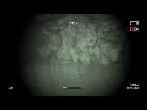 Outlast 2: we're back to porconare